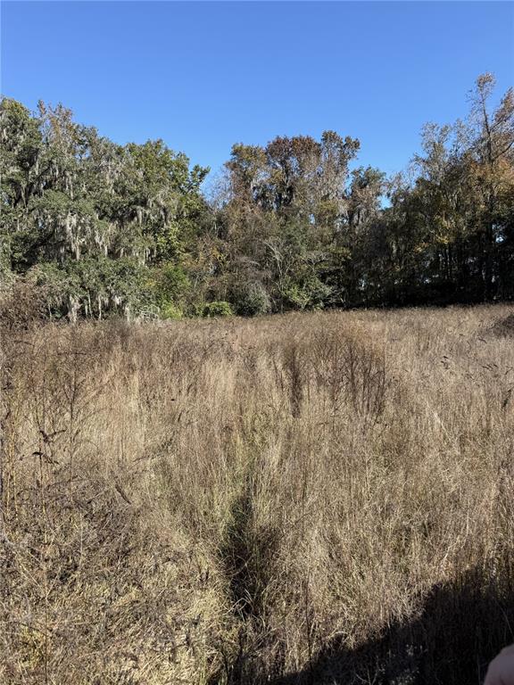 Northwest 110th Avenue Reddick, FL 32686 - Photo 6 of 14 a view of a dry yard with trees in the background