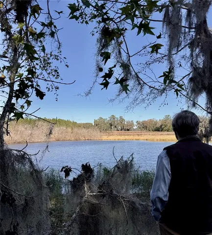 a view of a houses with a yard