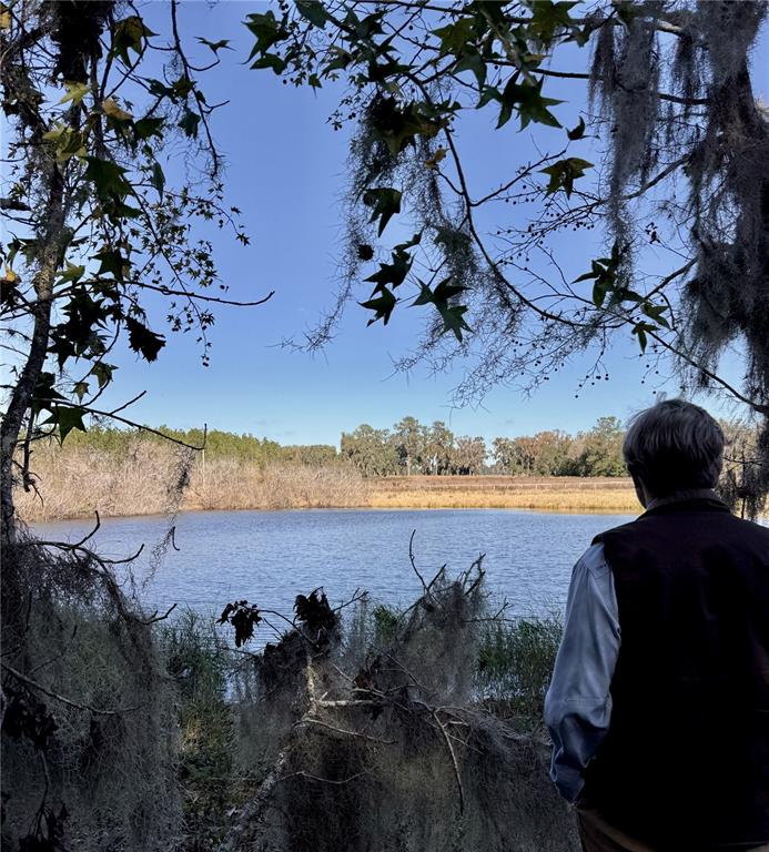 Northwest 110th Avenue Reddick, FL 32686 - Photo 7 of 14 a view of a lake with a mountain in the background