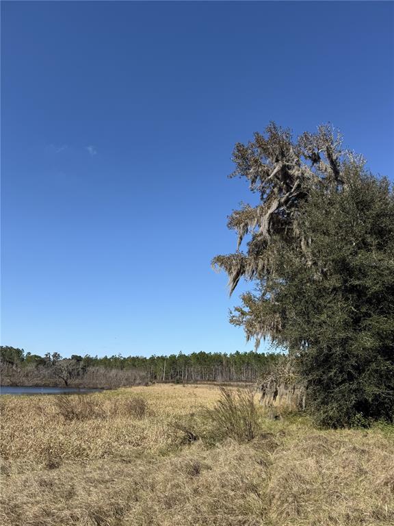 Northwest 110th Avenue Reddick, FL 32686 - Photo 9 of 14 a view of lake