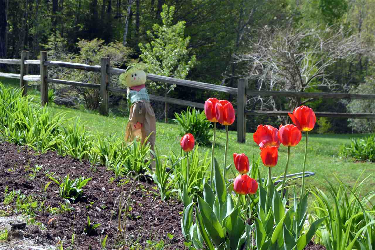 1251 Tiffany Road Mount Holly, VT 05730 - Photo 34 of 37