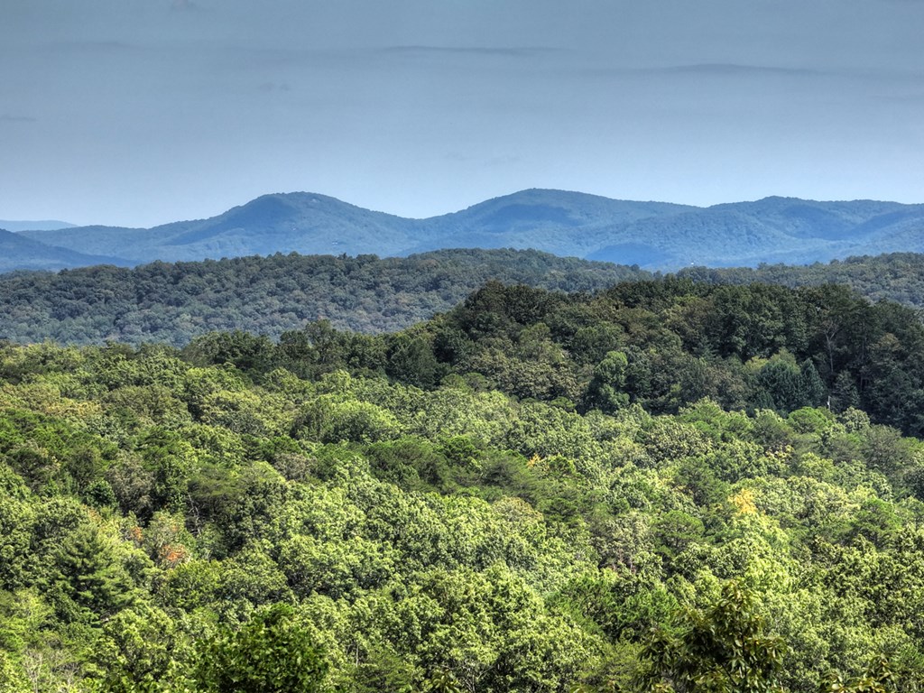 296 Overlook Road Blue Ridge, GA 30513 - Photo 5 of 65 a view of a large mountain with a mountain in the background
