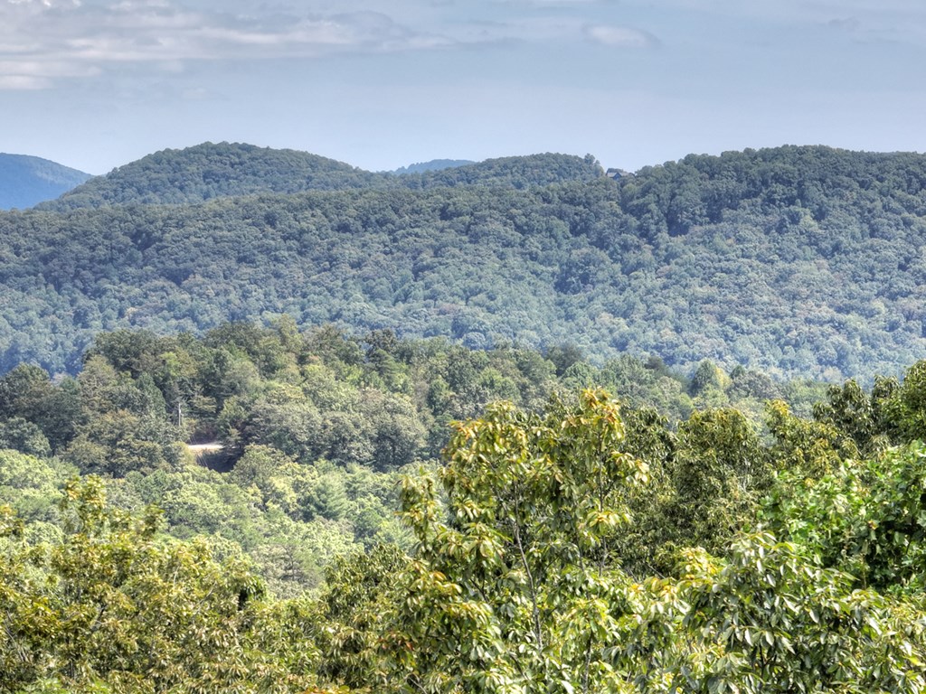 296 Overlook Road Blue Ridge, GA 30513 - Photo 7 of 65 a view of a dry yard with mountains in the background