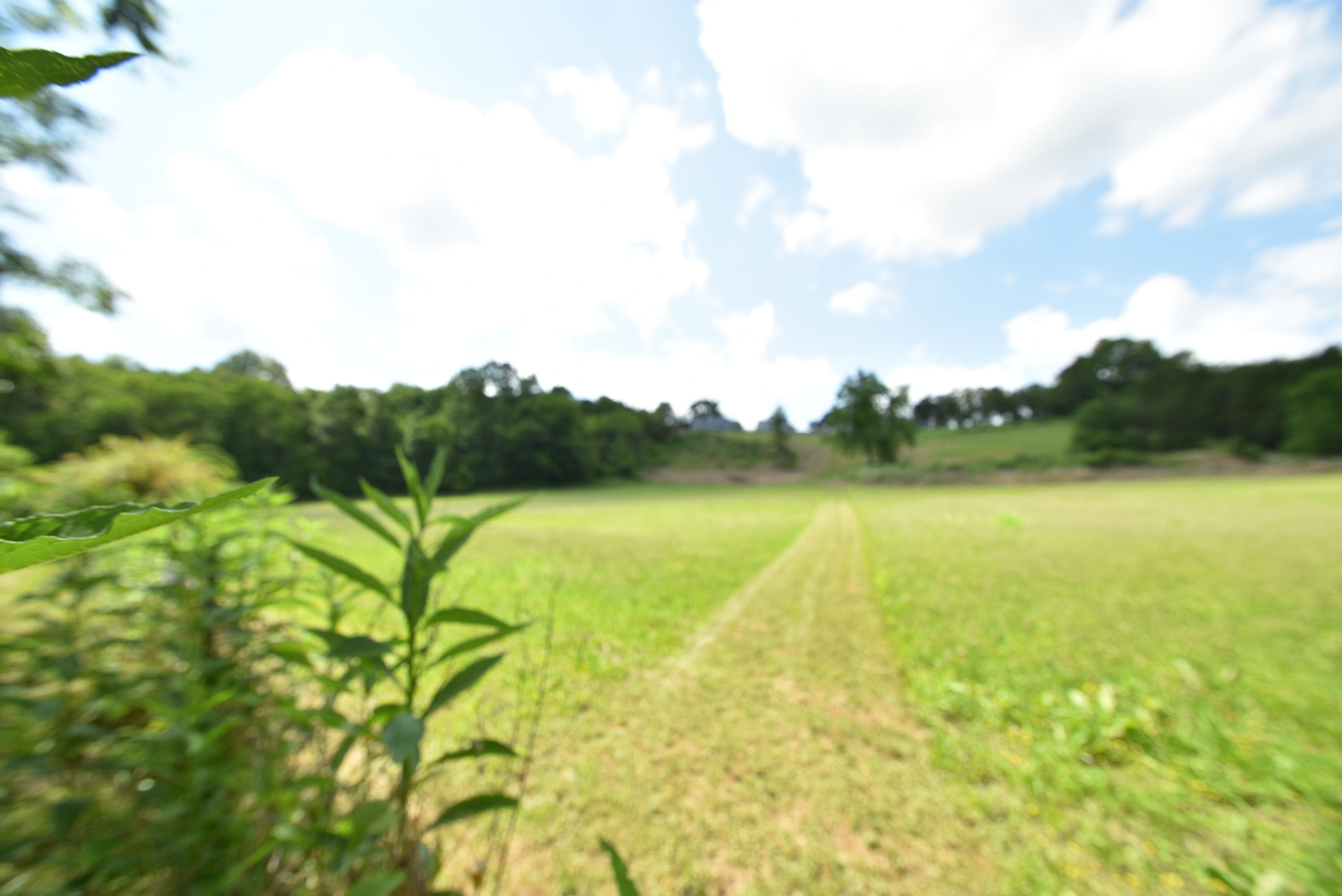 691 Fairview Road Salvisa, KY 40372 - Photo 35 of 42 DSC_0149
