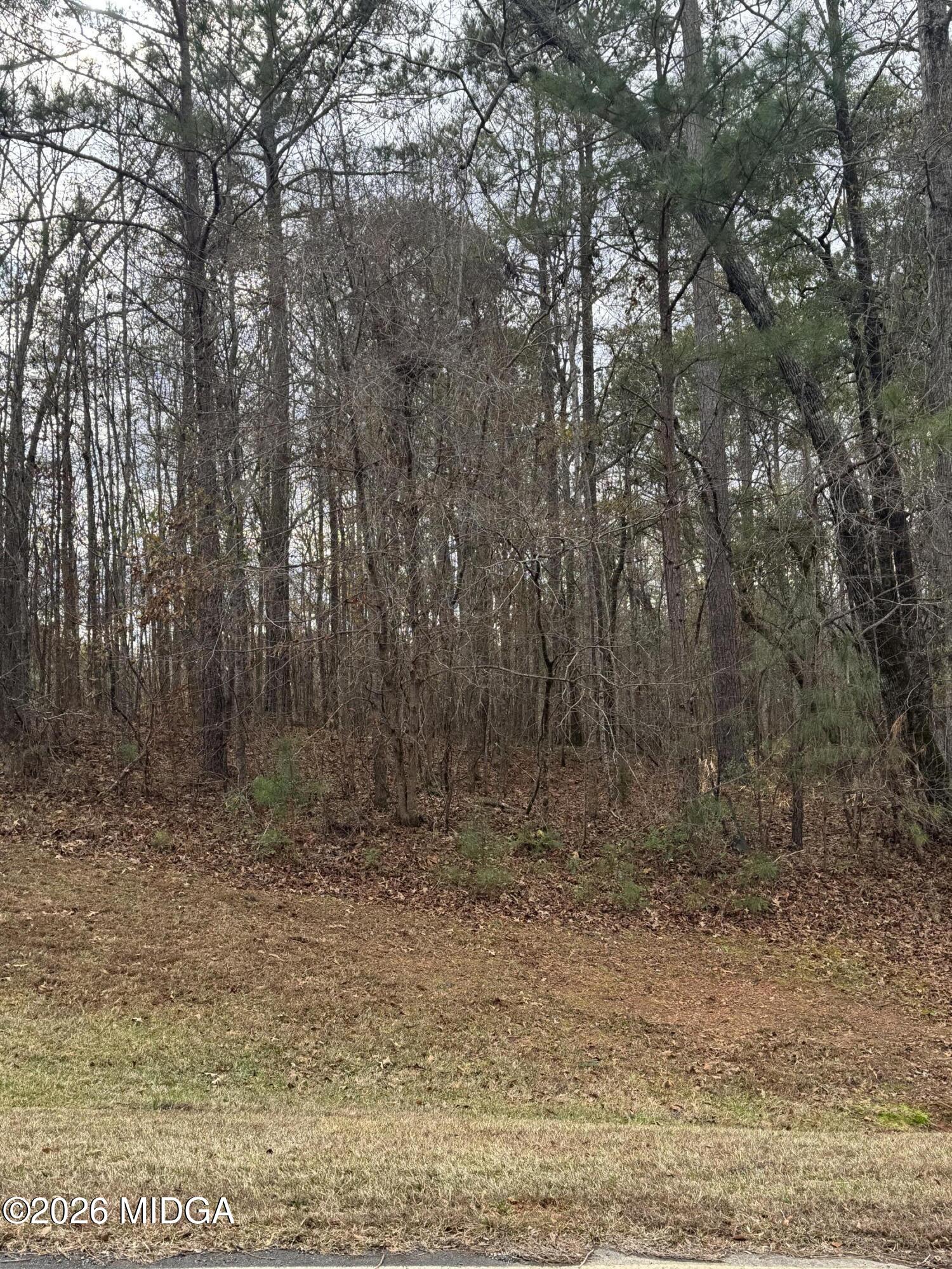 207 Forest Pointe Drive Forsyth, GA 31029 - Photo 3 of 8 IMG_4610