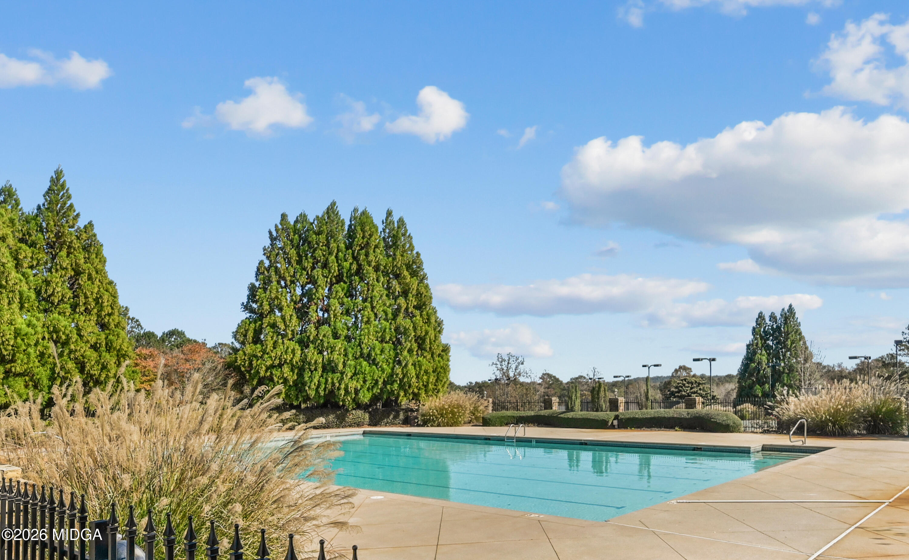 207 Forest Pointe Drive Forsyth, GA 31029 - Photo 8 of 8 DSC_0230