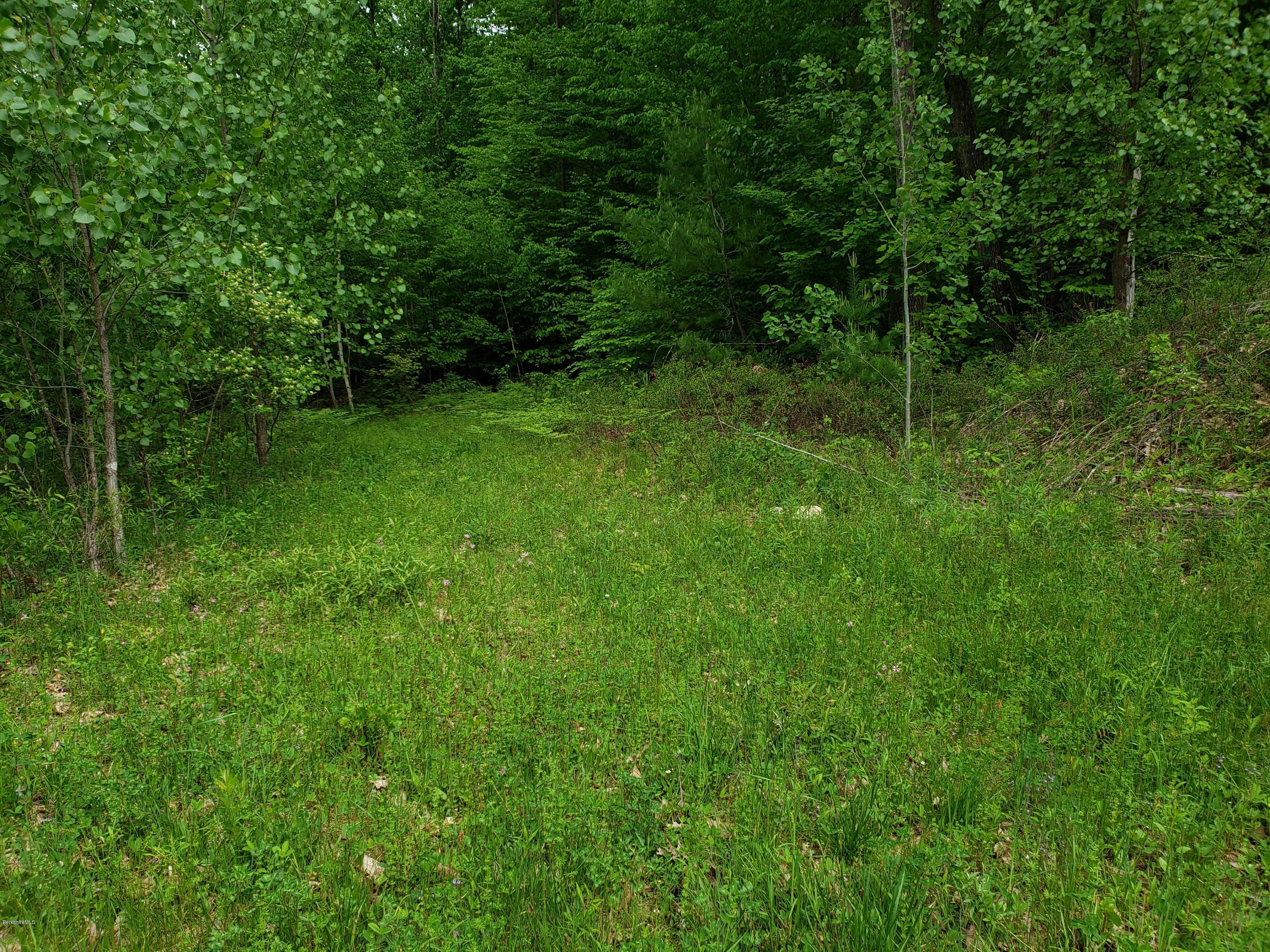 0 Sweet Farm Road Williamstown, MA 01267 - Photo 1 of 6 Frontage with driveway start