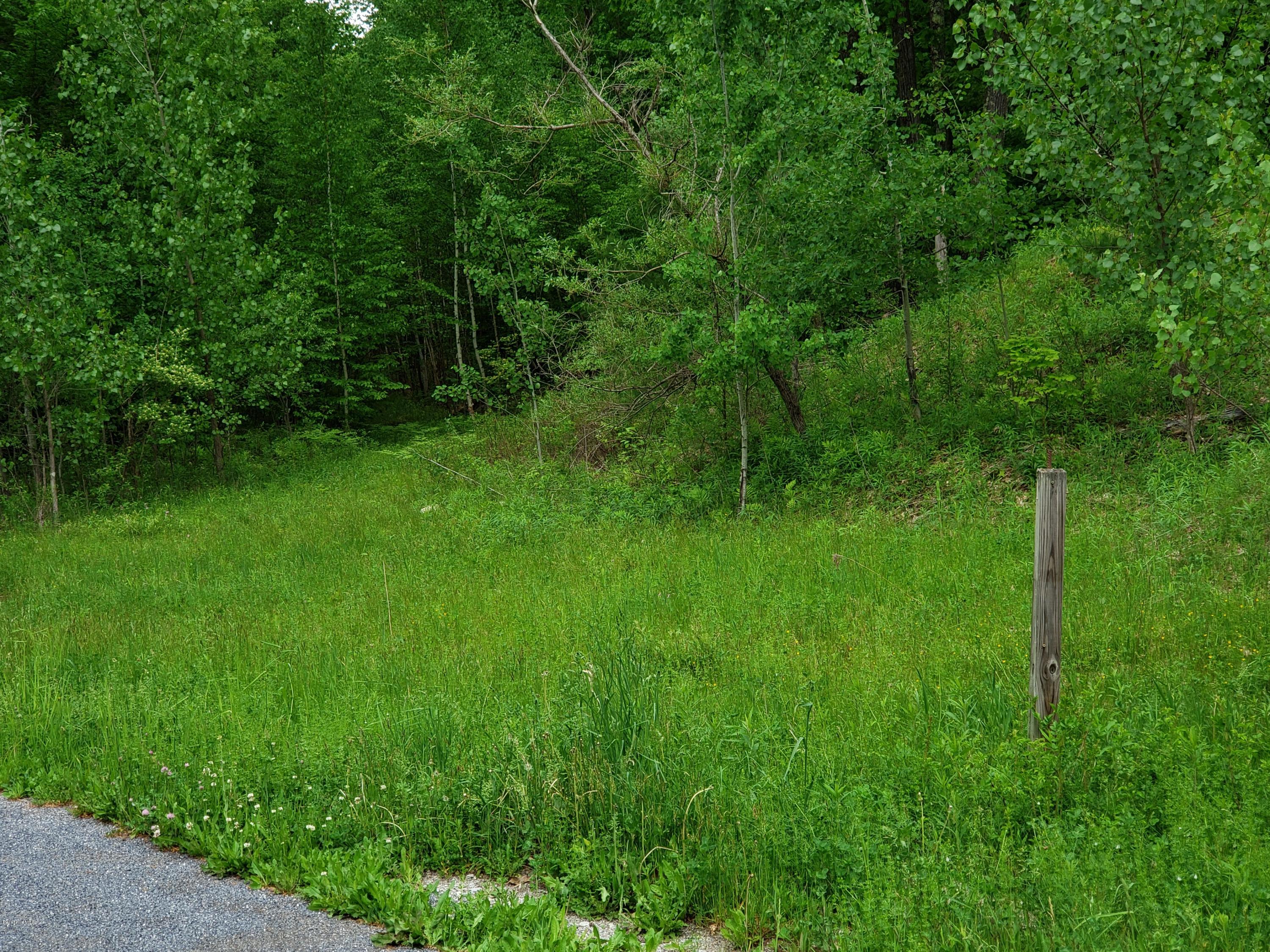 0 Sweet Farm Road Williamstown, MA 01267 - Photo 3 of 6 Frontage