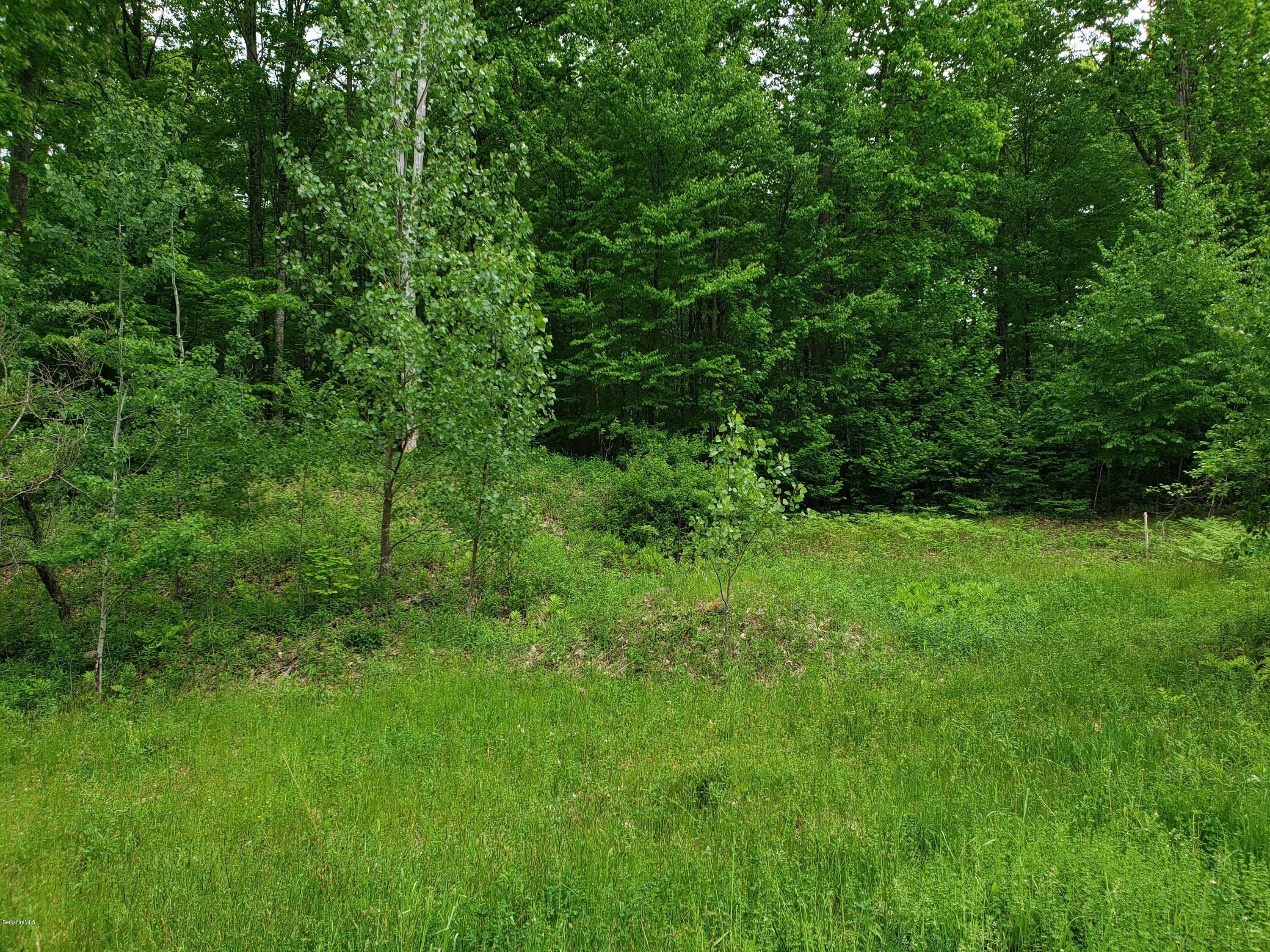 0 Sweet Farm Road Williamstown, MA 01267 - Photo 4 of 6 Frontage