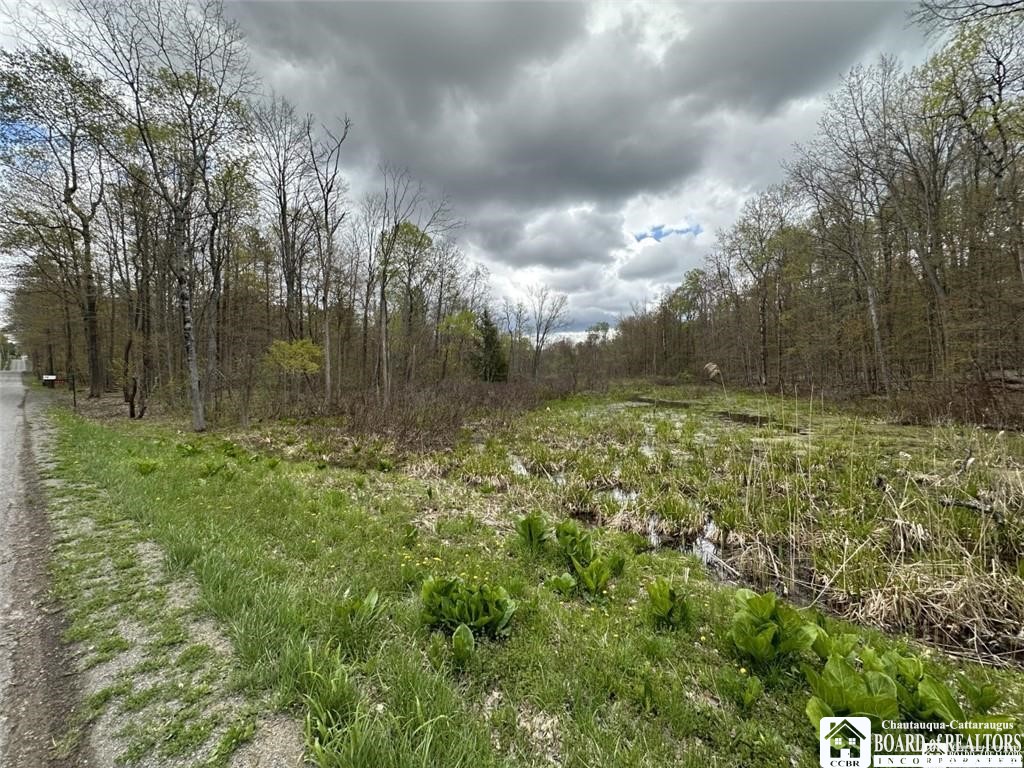 0 Walker Road Bemus Point, NY 14712 - Photo 16 of 25 Gallery Image 16