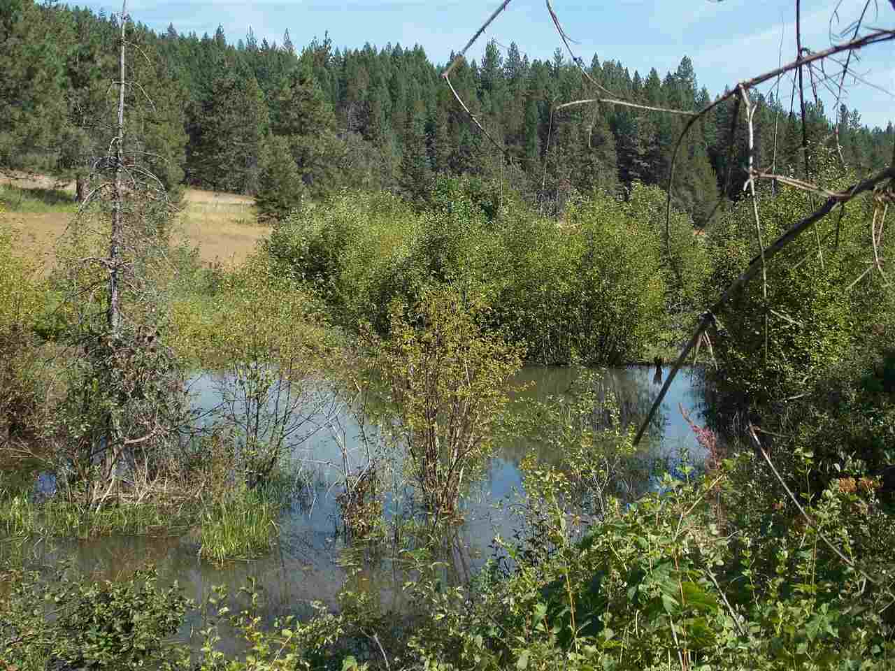 Tbd Lot 2 Springdale-Hunters Road Springdale, WA 99173 - Photo 2 of 20