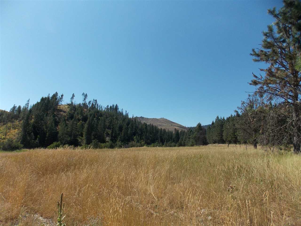 Tbd Lot 2 Springdale-Hunters Road Springdale, WA 99173 - Photo 12 of 20