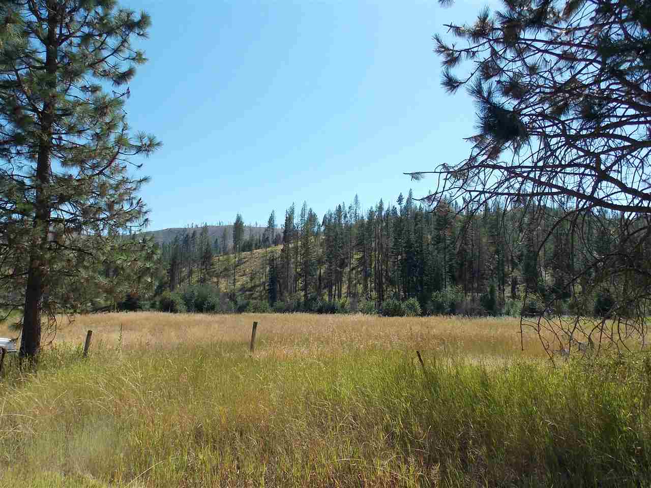Tbd Lot 2 Springdale-Hunters Road Springdale, WA 99173 - Photo 13 of 20