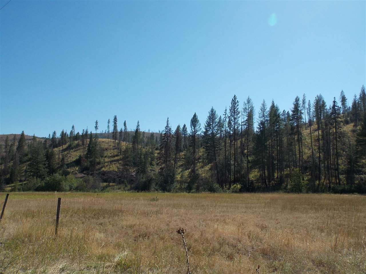 Tbd Lot 2 Springdale-Hunters Road Springdale, WA 99173 - Photo 14 of 20
