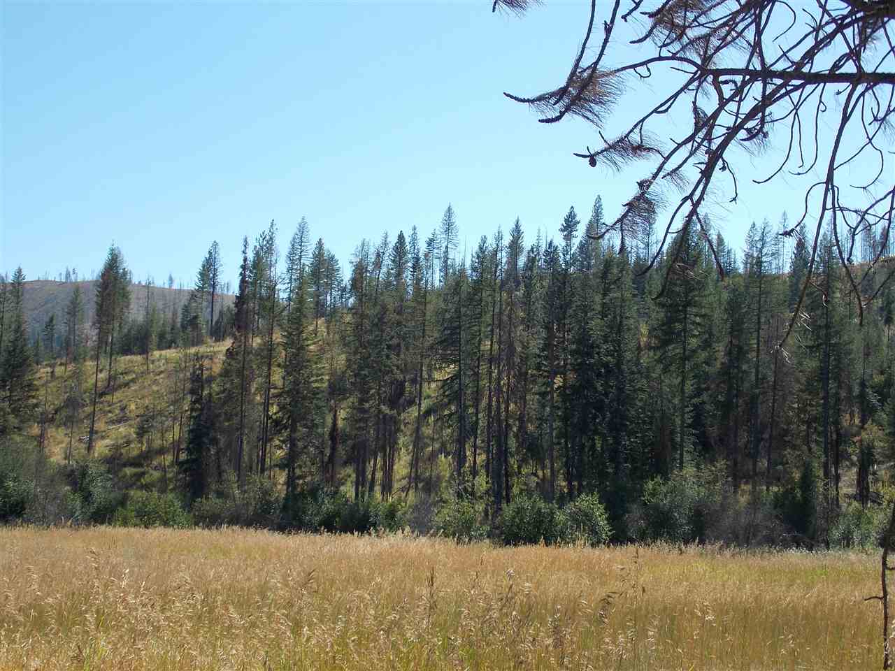 Tbd Lot 2 Springdale-Hunters Road Springdale, WA 99173 - Photo 15 of 20