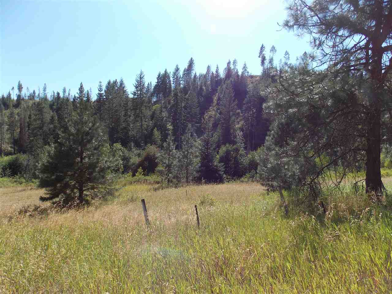 Tbd Lot 2 Springdale-Hunters Road Springdale, WA 99173 - Photo 18 of 20