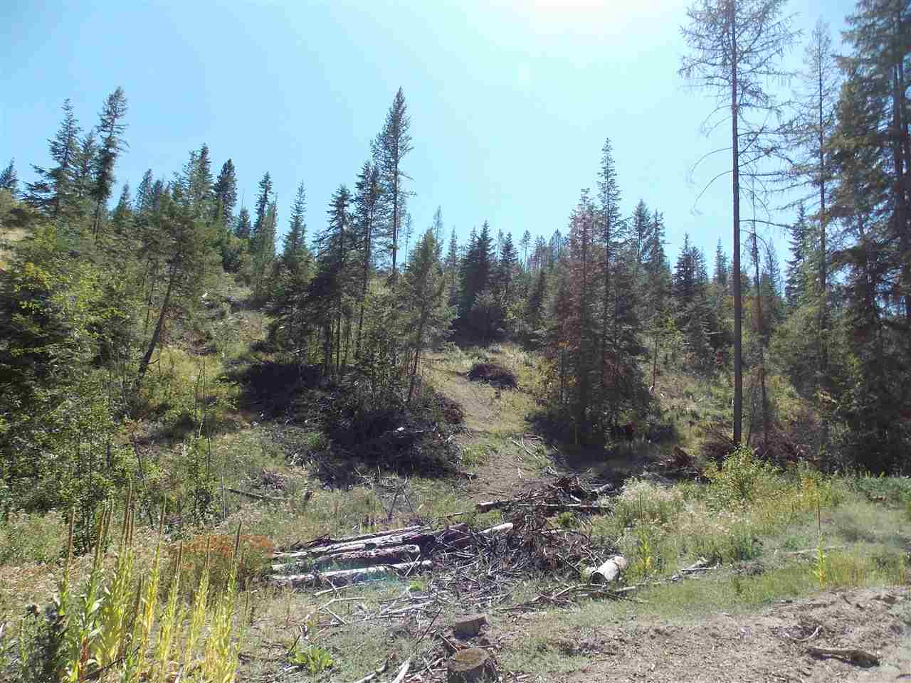 Tbd Lot 2 Springdale-Hunters Road Springdale, WA 99173 - Photo 3 of 20