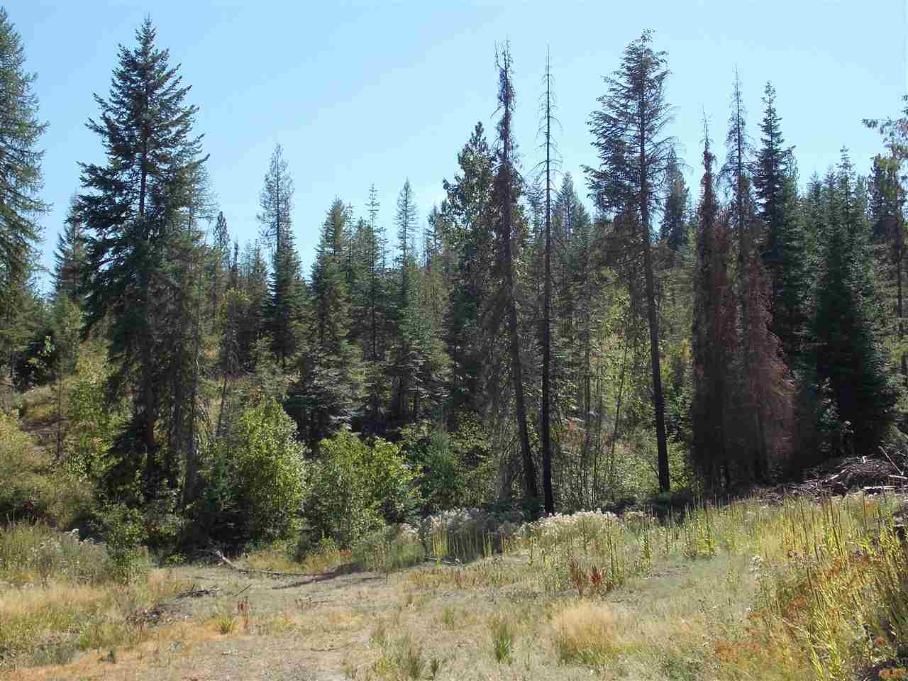 Tbd Lot 2 Springdale-Hunters Road Springdale, WA 99173 - Photo 4 of 20