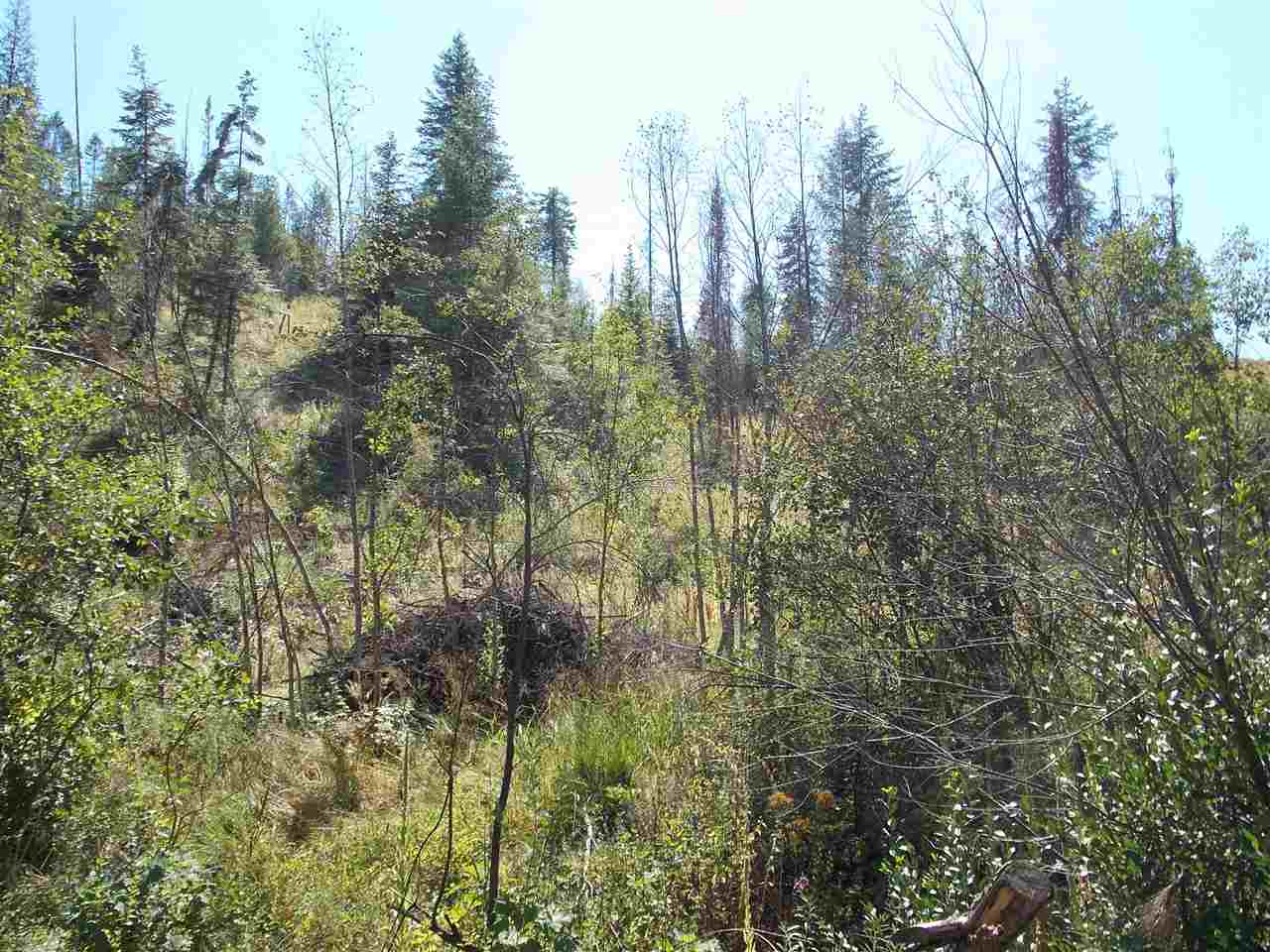 Tbd Lot 2 Springdale-Hunters Road Springdale, WA 99173 - Photo 5 of 20