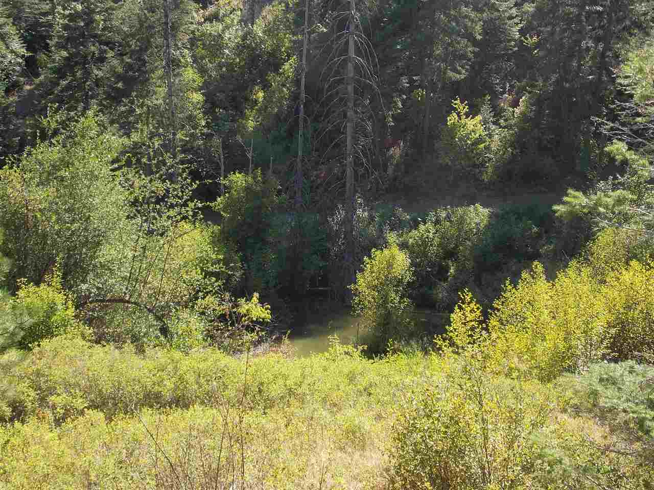 Tbd Lot 2 Springdale-Hunters Road Springdale, WA 99173 - Photo 6 of 20