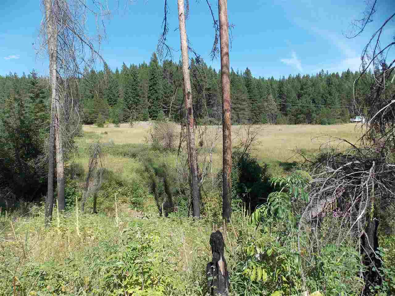Tbd Lot 2 Springdale-Hunters Road Springdale, WA 99173 - Photo 7 of 20