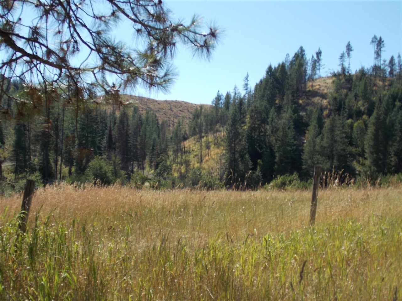 Tbd Lot 2 Springdale-Hunters Road Springdale, WA 99173 - Photo 8 of 20
