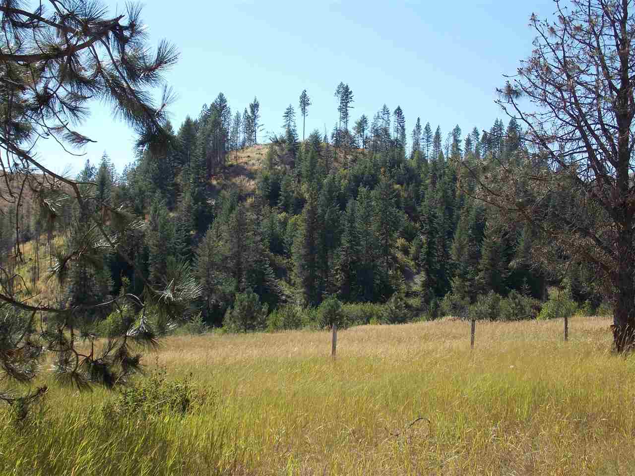 Tbd Lot 2 Springdale-Hunters Road Springdale, WA 99173 - Photo 9 of 20