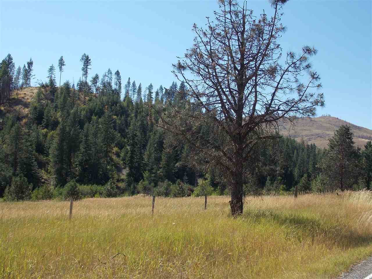 Tbd Lot 2 Springdale-Hunters Road Springdale, WA 99173 - Photo 10 of 20