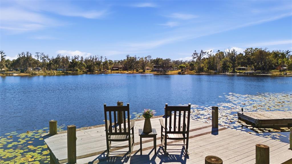 9214 Rhea Drive Odessa, FL 33556 - Photo 2 of 67 a view of a chairs and table on the terrace