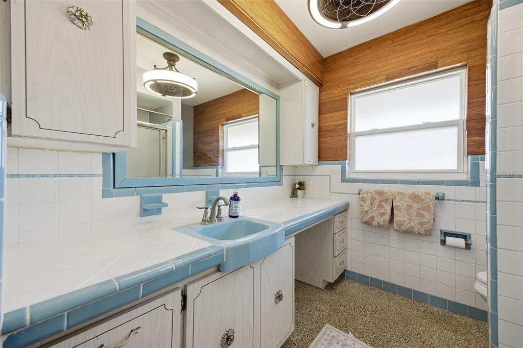 9214 Rhea Drive Odessa, FL 33556 - Photo 37 of 67 a bathroom with a sink and a bathtub