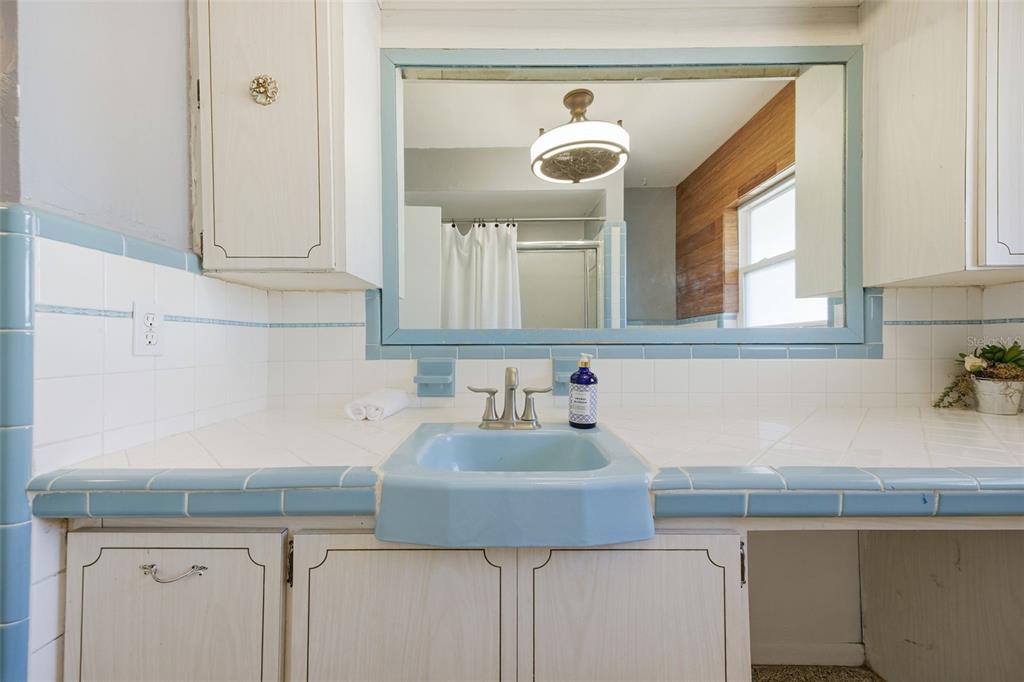 9214 Rhea Drive Odessa, FL 33556 - Photo 38 of 67 a bathroom with a sink and a mirror