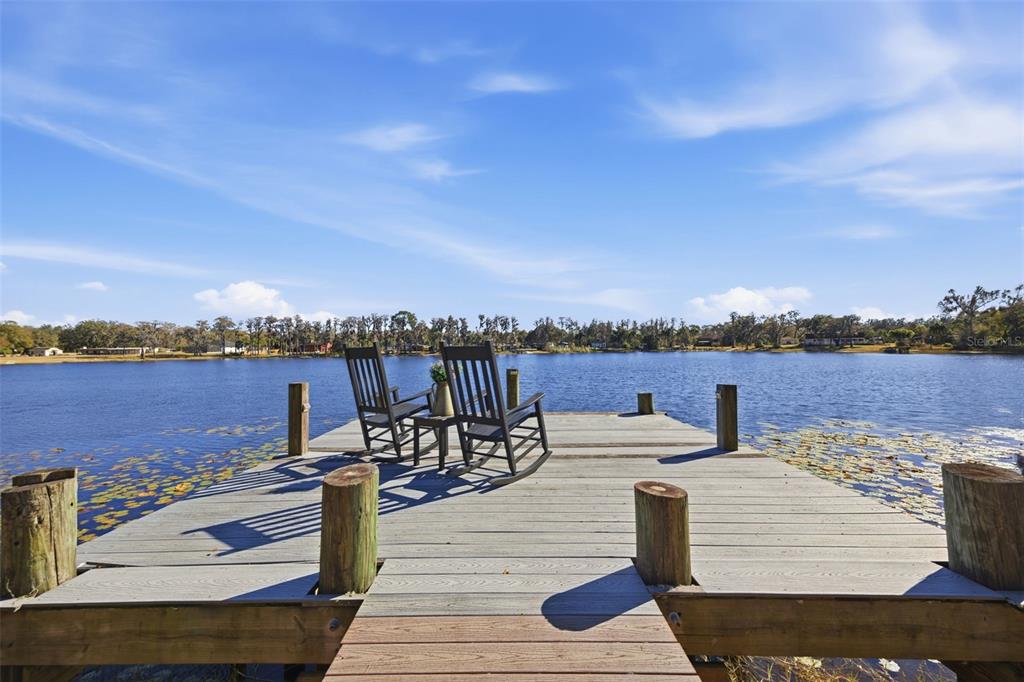 9214 Rhea Drive Odessa, FL 33556 - Photo 49 of 67