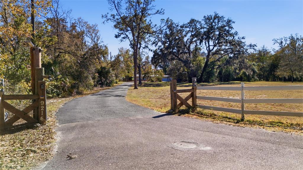 9214 Rhea Drive Odessa, FL 33556 - Photo 50 of 67 a view of a park with trees