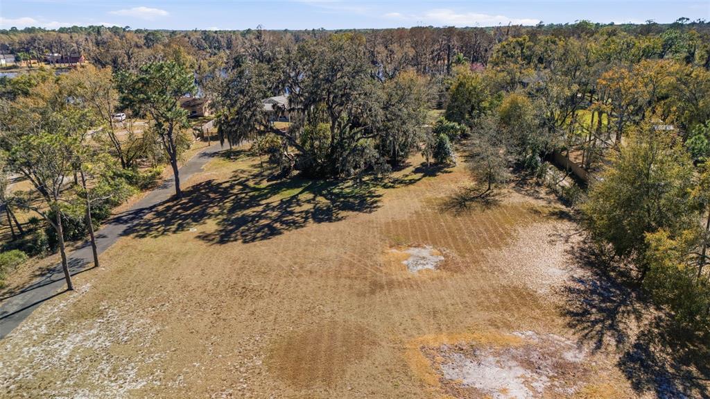 9214 Rhea Drive Odessa, FL 33556 - Photo 65 of 67 a view of a yard with a tree
