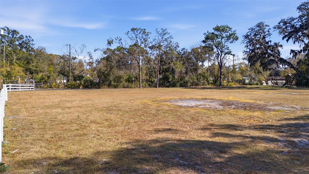 9214 Rhea Drive Odessa, FL 33556 - Photo 66 of 67 a view of yard with trees