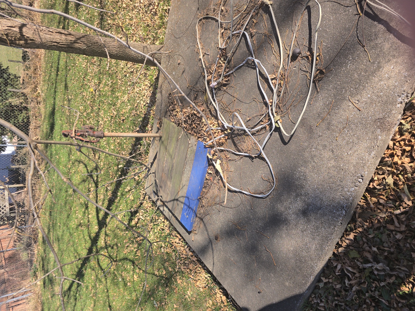 22904 East 1600 North Road Normal, IL 61761 - Photo 9 of 10