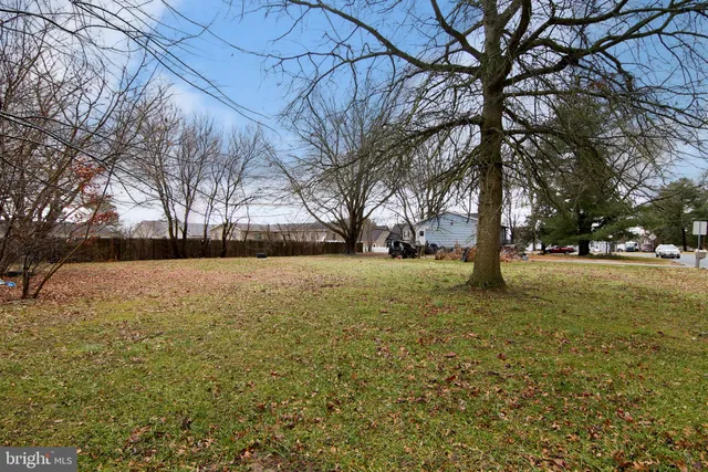 a view of open space with yard