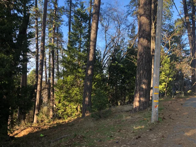 $139,500 | 410 Marshall Street, Grass Valley, CA 95945