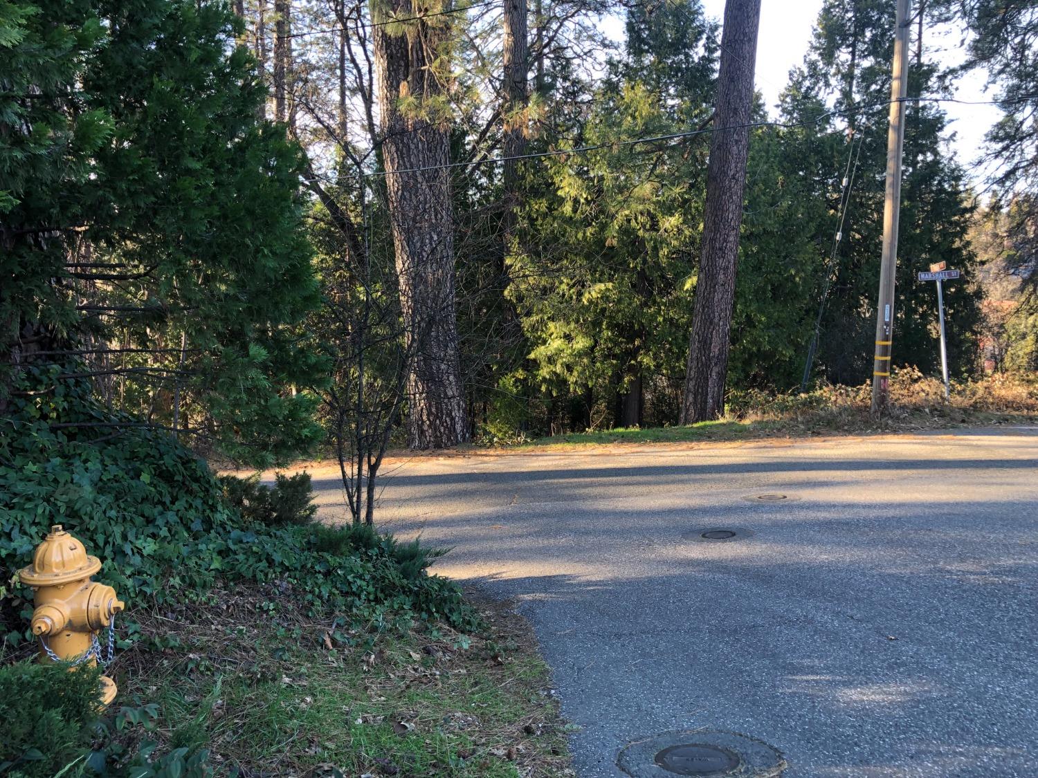 410 Marshall Street Grass Valley, CA 95945 - Photo 3 of 7