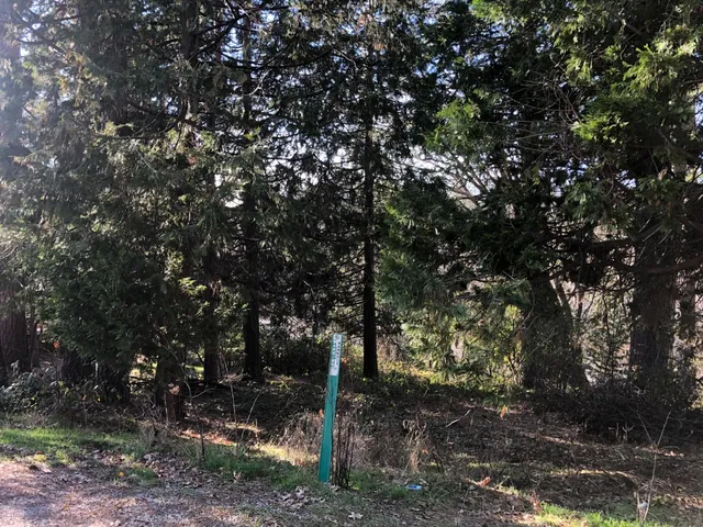 $139,500 | 410 Marshall Street, Grass Valley, CA 95945