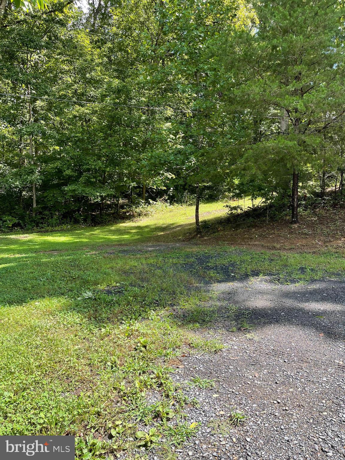 10365 River Road Rixeyville, VA 22737 - Photo 12 of 52 Exterior - Driveway View
