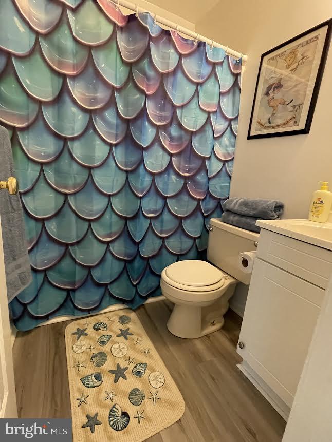 10365 River Road Rixeyville, VA 22737 - Photo 25 of 52 Main Level - Full Hall Bathroom