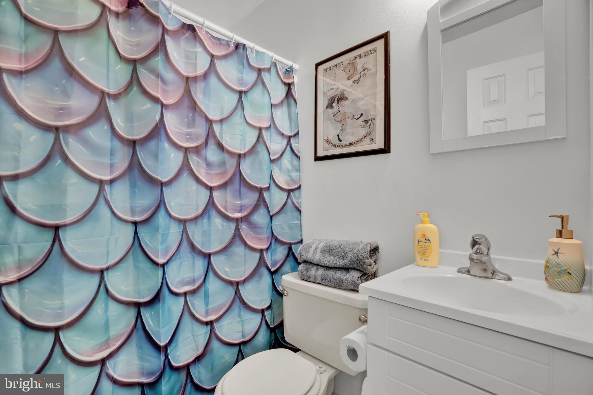 10365 River Road Rixeyville, VA 22737 - Photo 26 of 52 Main Level - Full Bathroom #2