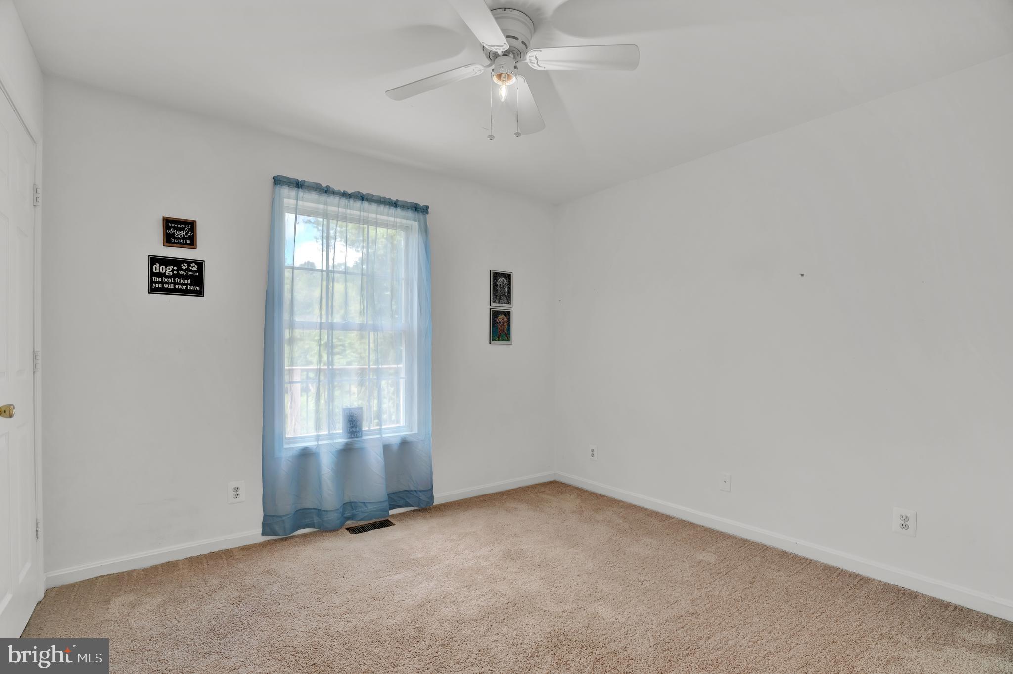 10365 River Road Rixeyville, VA 22737 - Photo 30 of 52 Main Level - Bedroom #2