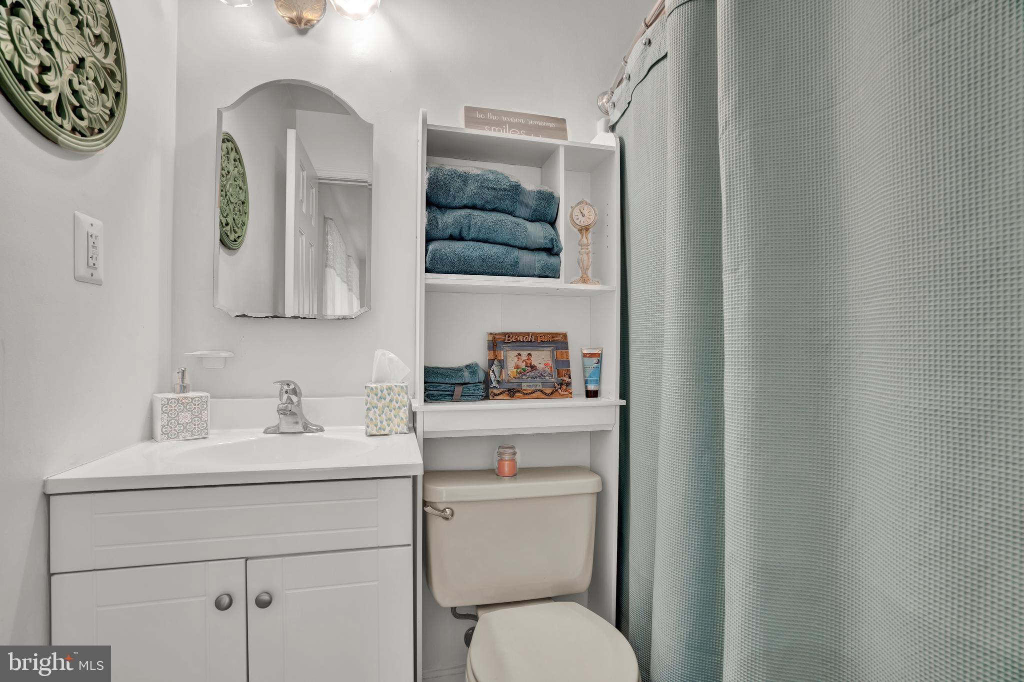 10365 River Road Rixeyville, VA 22737 - Photo 32 of 52 Main Level - Owner's Primary Bathroom
