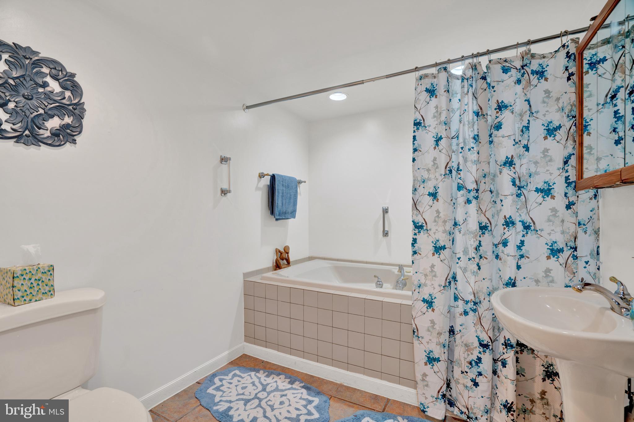 10365 River Road Rixeyville, VA 22737 - Photo 41 of 52 Lower Level - Full Bathroom