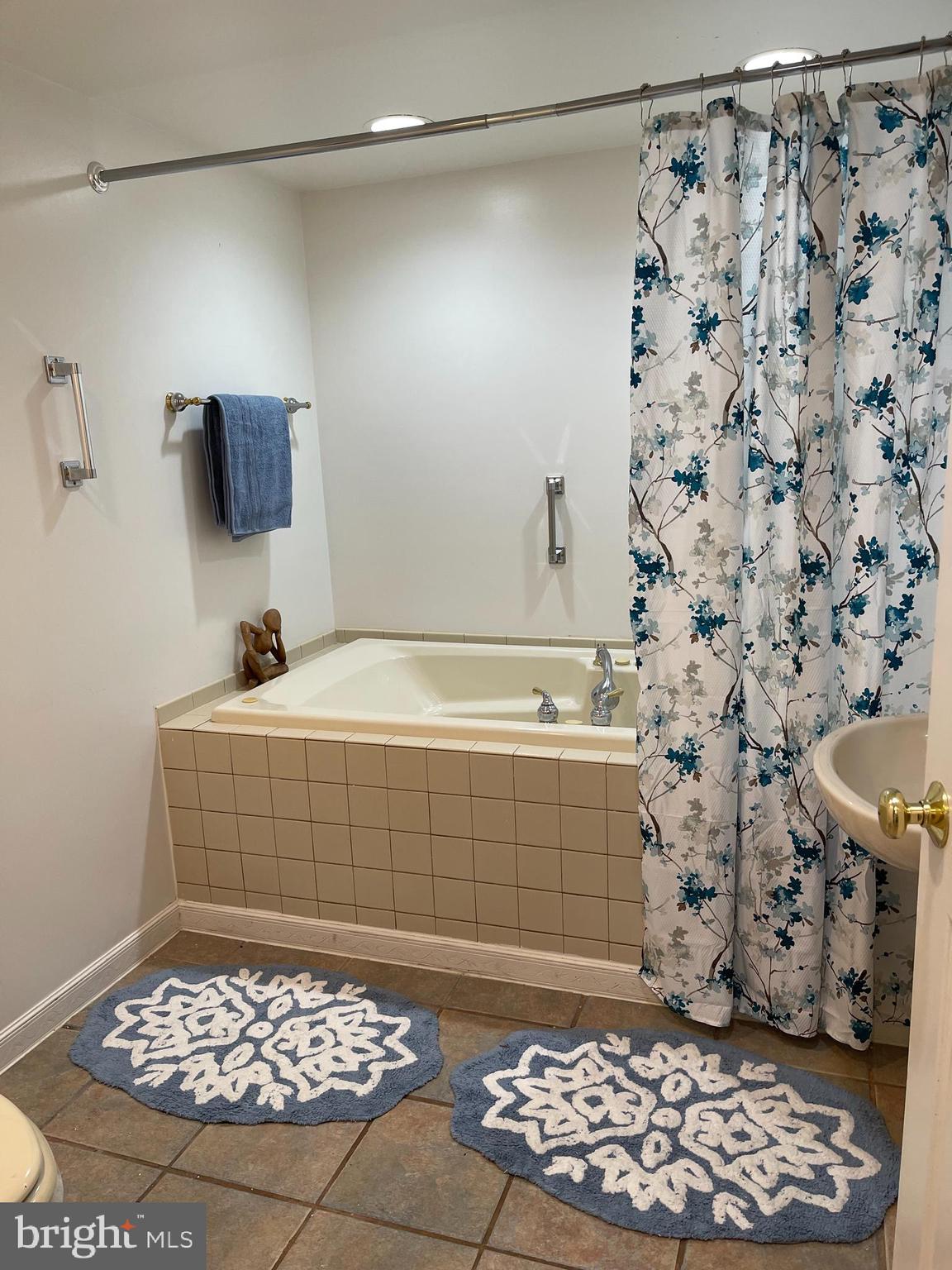 10365 River Road Rixeyville, VA 22737 - Photo 42 of 52 Lower Level - Full Bathroom