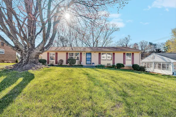 a front view of a house with yard and green space