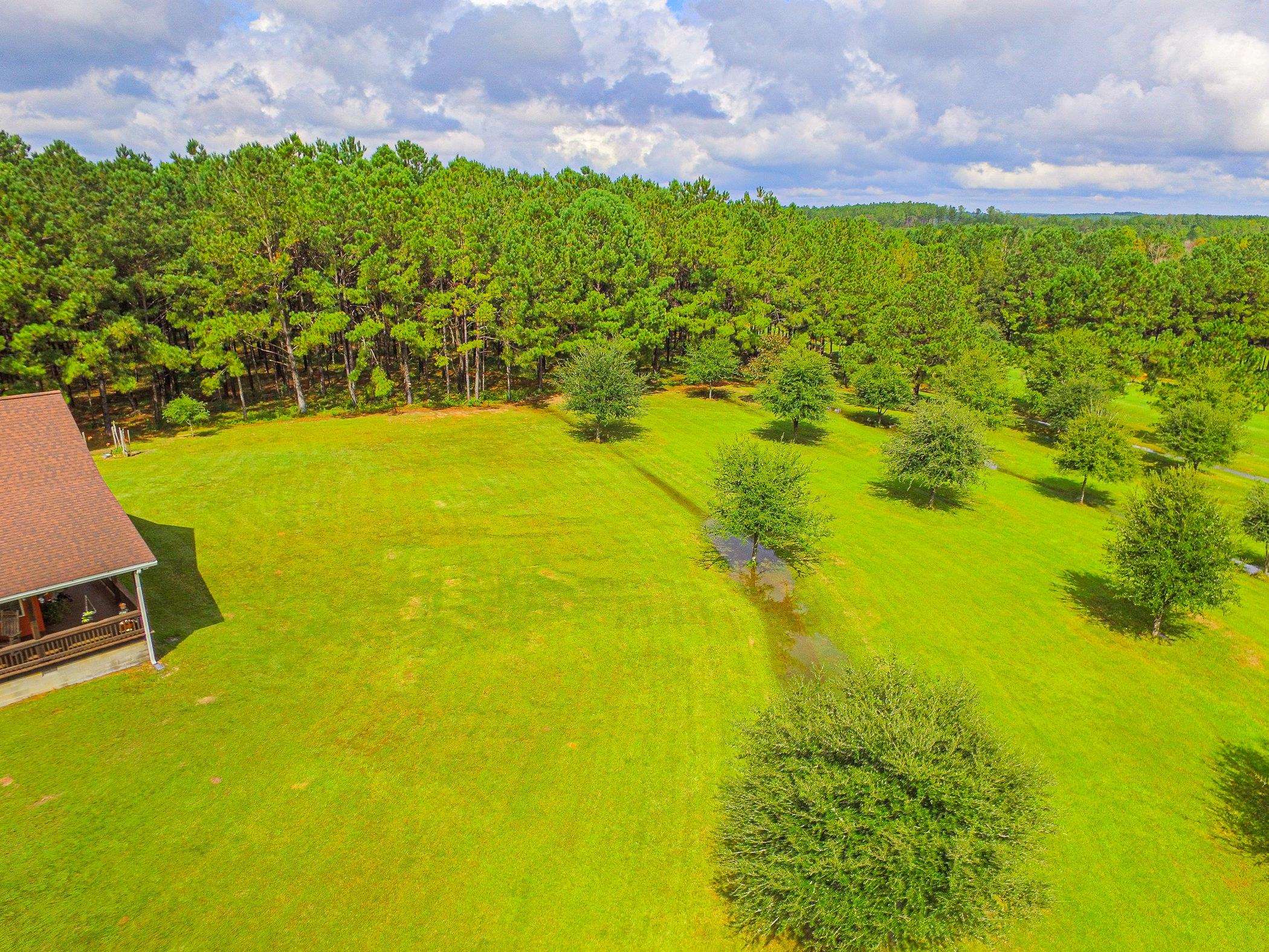 36705 Hall Road Red Level, AL 36474 - Photo 39 of 50 Gallery Image 39