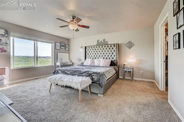2145 Reed Grass Way Colorado Springs, CO 80915 - Photo 23 of 28 Gallery Image 23